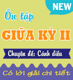 Ôn tập Giữa Học kỳ II (CD_11)